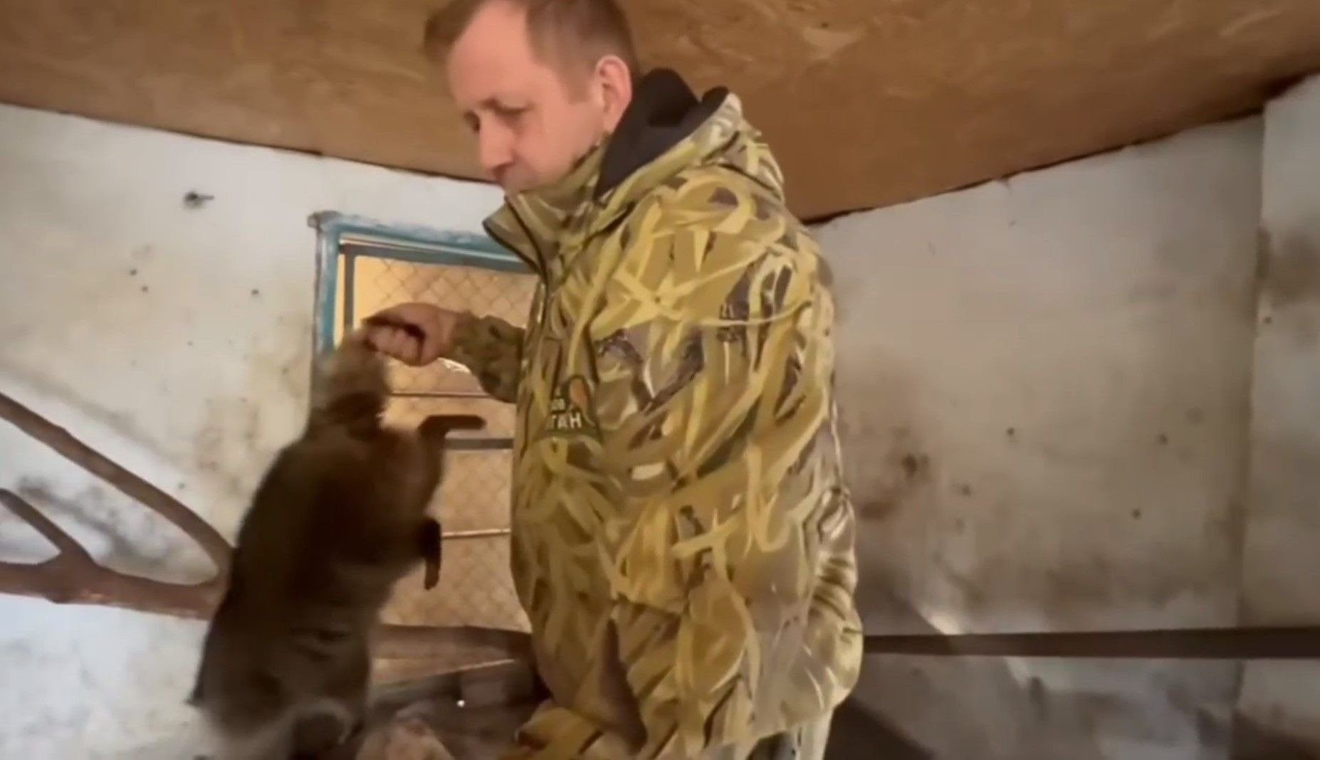 Викрадення окупантами тварин із Херсонського зоопарку:  відео ➤ Buzzday.info