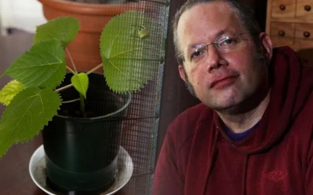 Британец выращивает дома “самое опасное растение в мире” ➤ Buzzday.info
