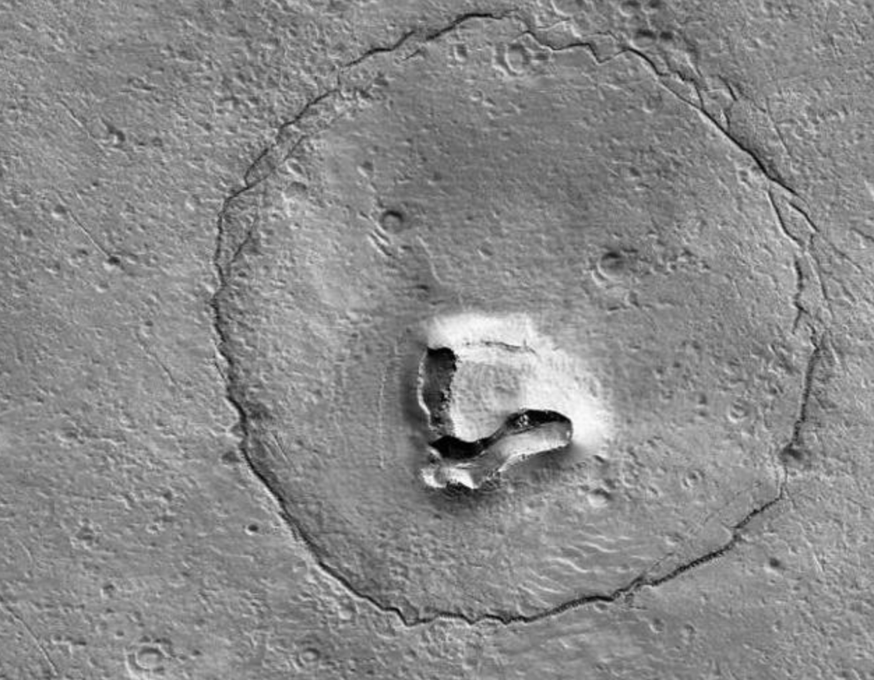 Ok, c’è un orso su Marte e non riusciamo a capire com’è possibile (FOTO) ➤ Buzzday.info