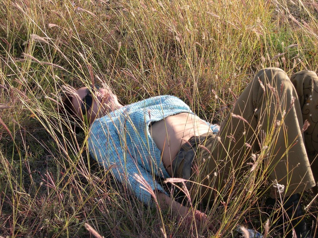 Fata era obosită și se întindea pe iarbă… Uite cum s-a purtat calul cu ea! ➤ Buzzday.info