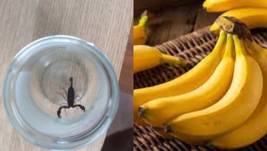 5 semne de cancer ce apar în rândul tinerilor<br>Citeşte întreaga ştire: 5 semne de cancer ce apar în rândul tinerilorbuzzday.info