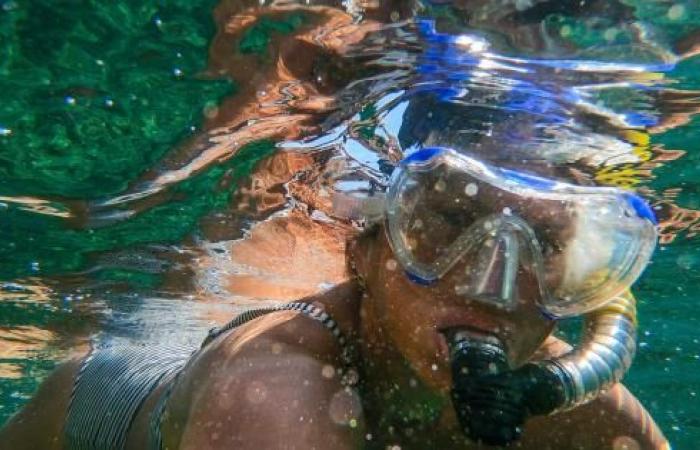 Coppia rimane intrappolata nell’oceano facendo snorkeling: luna di miele rovinata ➤ Buzzday.info