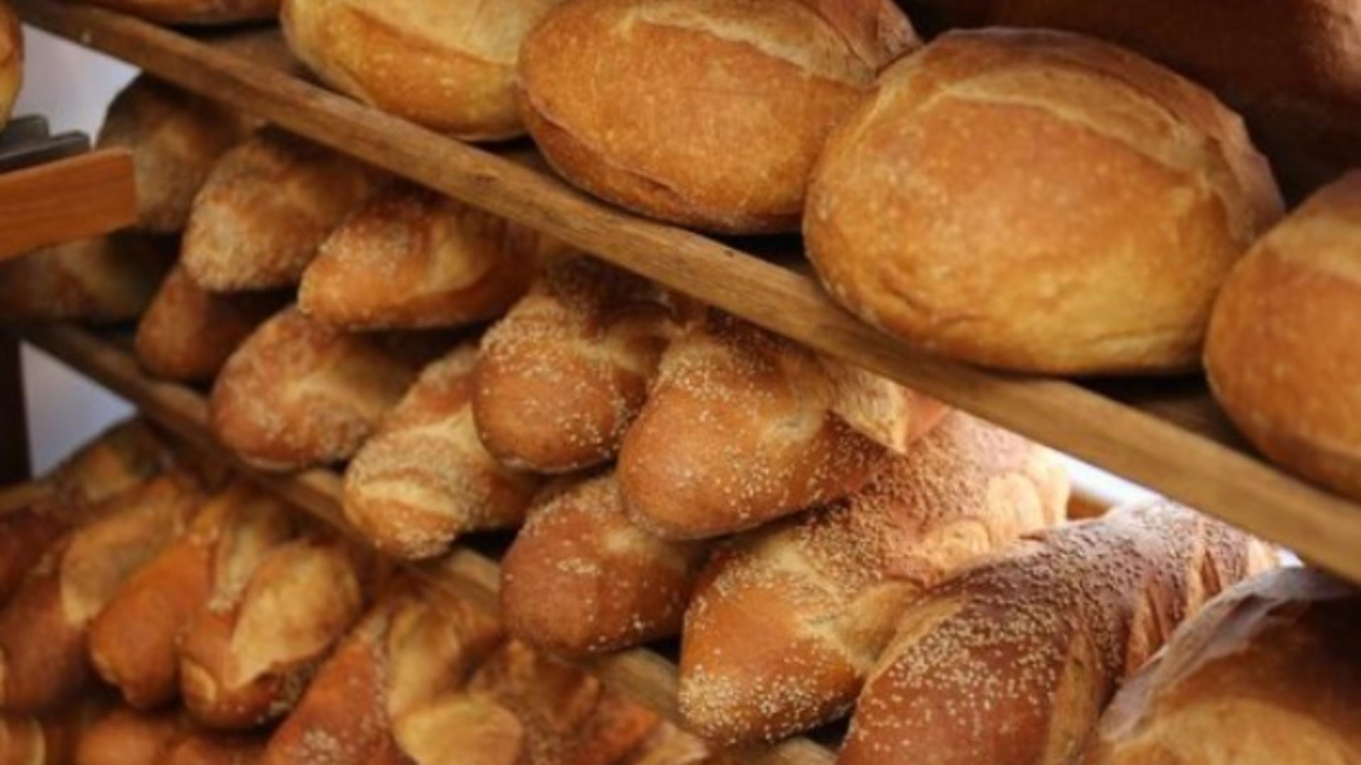 Ce conține pâinea din magazinele românești – Otravă la raft. InfoCons: “Gândiți-vă bine când o cumpărați!” ➤ Buzzday.info