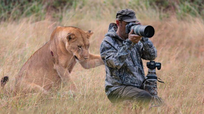 Il leone chiede aiuto al fotografo ➤ Buzzday.info
