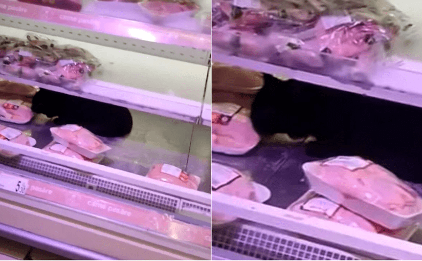 Ireal! Ce a putut să găsească un client într-un supermarket din Capitală: „Bagă, fata mea, bagă!” ➤ Buzzday.info