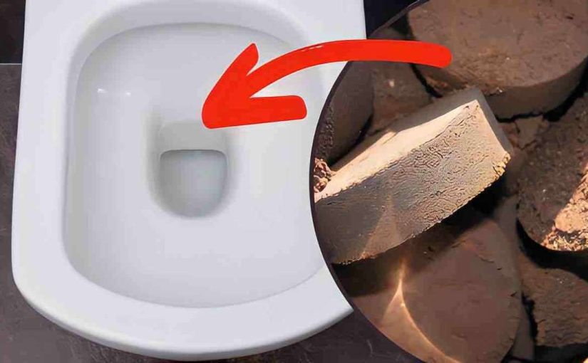 Pourquoi faut-il verser du marc de café dans les toilettes ? ➤ Buzzday.info