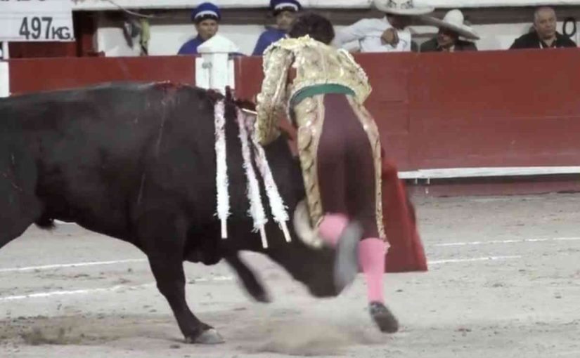 È incredibile! Sconvolto da una corrida in Messico, un matador fu distratto e fu immediatamente lanciato in aria da un toro ➤ Buzzday.info