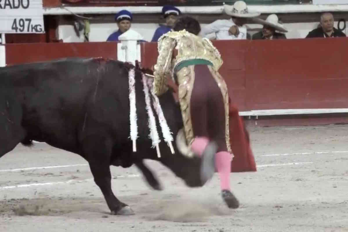 È incredibile! Sconvolto da una corrida in Messico, un matador fu distratto e fu immediatamente lanciato in aria da un toro ➤ Buzzday.info