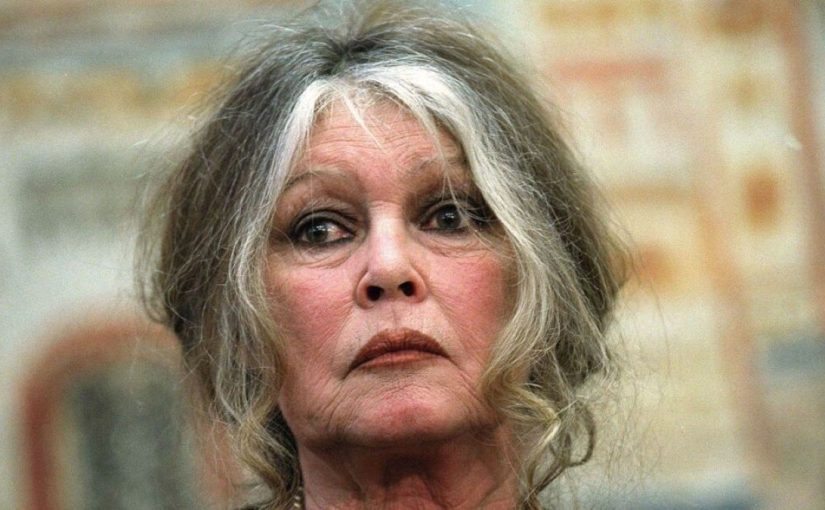 Brigitte Bardot : pourquoi elle n’a jamais demandé la garde de son fils et l’a confié à son ex-mari ➤ Buzzday.info