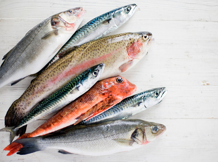 Nie spożywaj tego rodzaju ryb. Są one niezdrowe; wchłaniają najwięcej toksyn – najlepiej unikać spożywania tych gatunków.  ➤ Buzzday.info