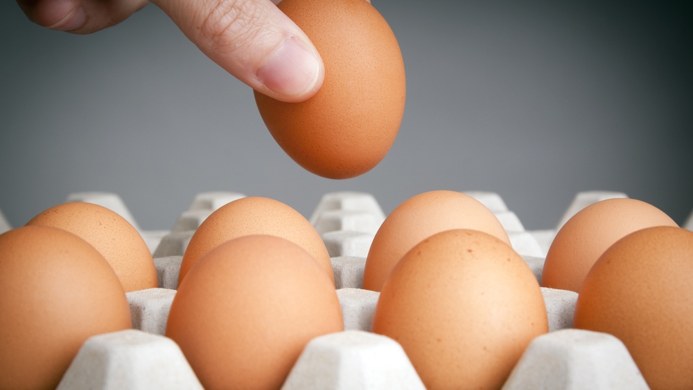Codzienne jedzenie kurzych jaj? Oto, jaki ma to wpływ na organizm i zdrowie ➤ Buzzday.info