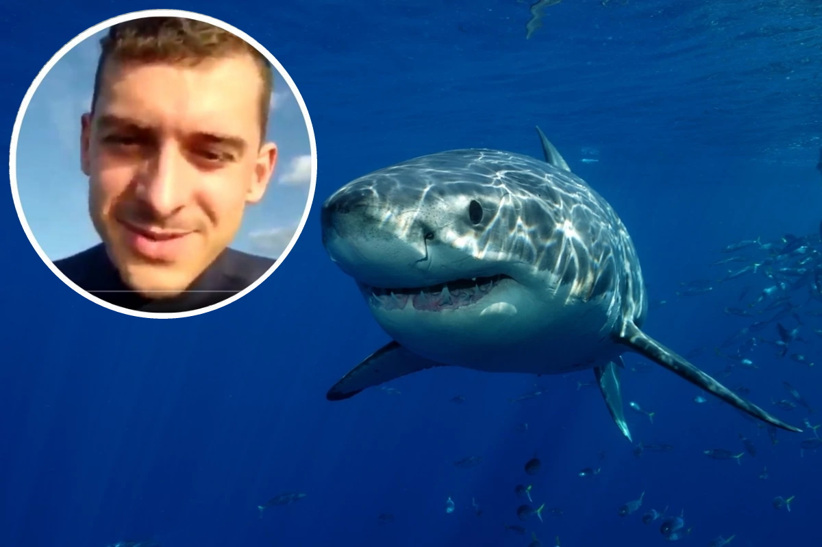 Hurghada. Rosjanin zjedzony przez rekina nagrał przed śmiercią następujące słowa. “Jak się macie, Ukraińcy?” ➤ Buzzday.info