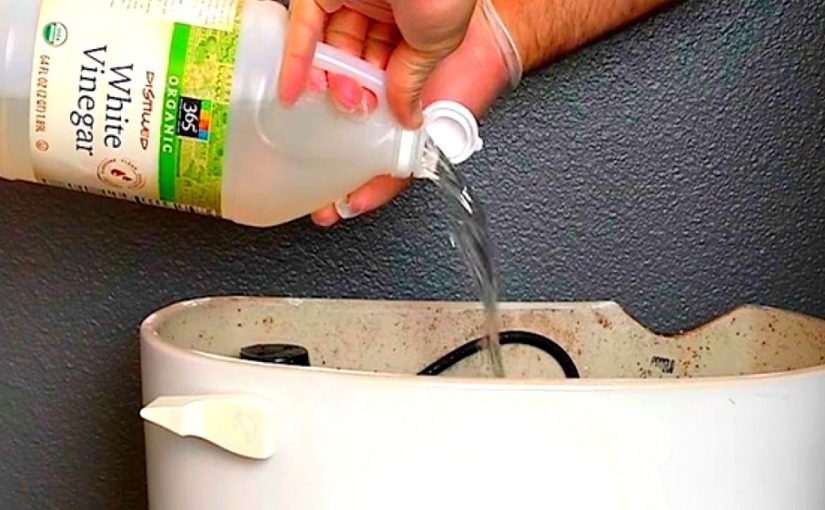 Put a rag with vinegar in the toilet bowl and see what happens next! ➤ Buzzday.info