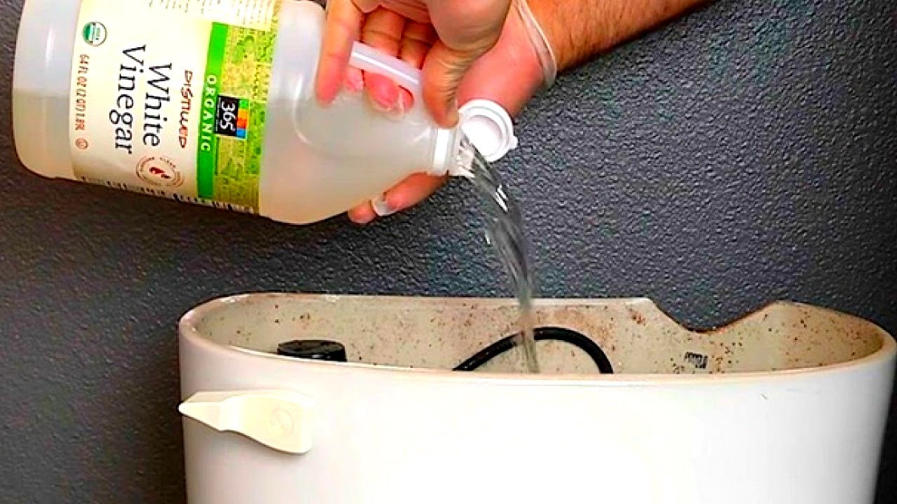 Put a rag with vinegar in the toilet bowl and see what happens next! ➤ Buzzday.info