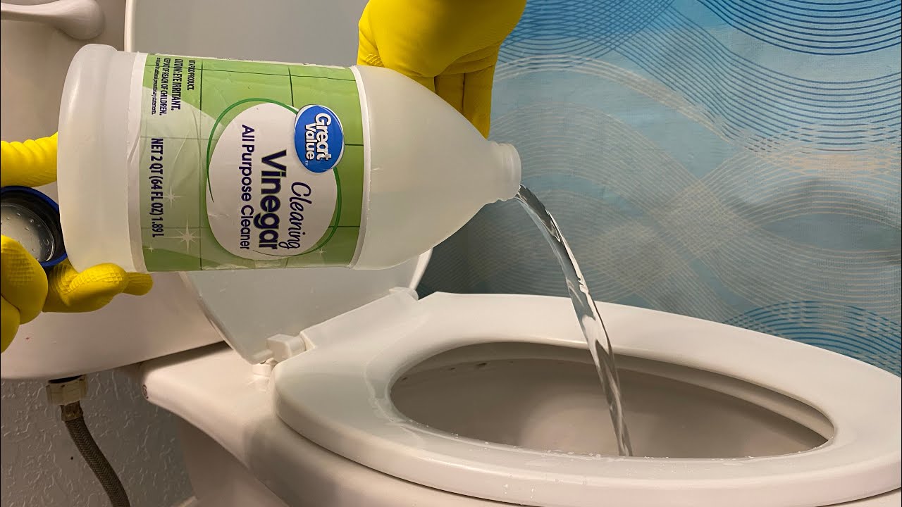 Put a rag with vinegar in the toilet bowl and see what happens next!