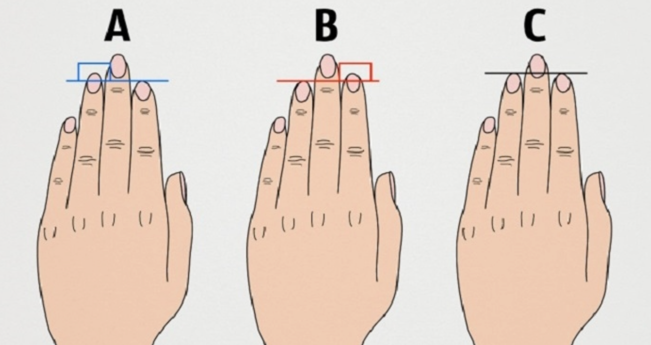 Chiều dài ngón tay của bạn có thể cho bạn biết điều gì về tính cách của bạn? ➤ Главное.net