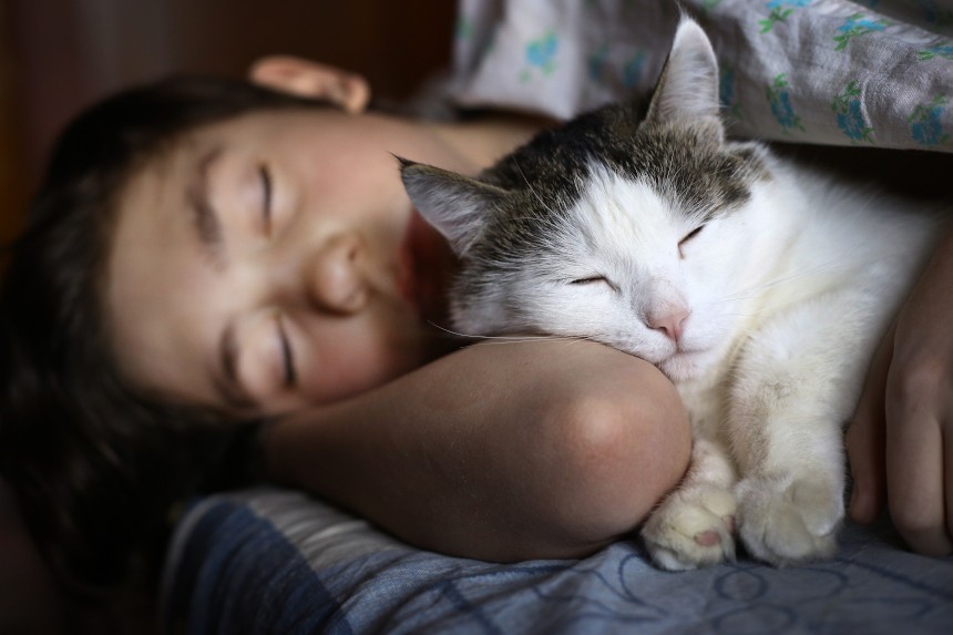 Twój kot śpi w Twoim łóżku; to wiesz ➤ Buzzday.info