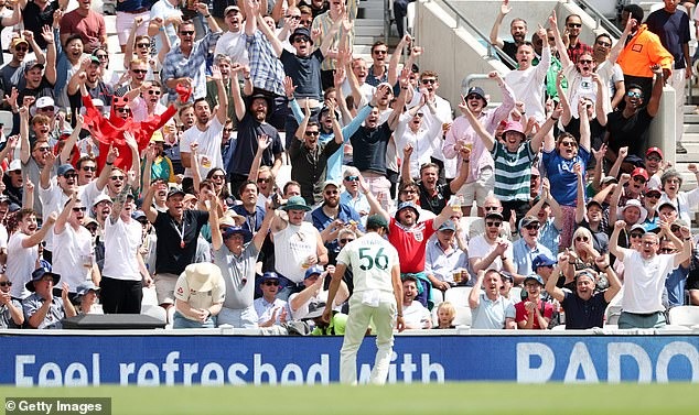 Angry Australian cricket stars have clashed with a fan in the stands at The Oval stadium after he threw an insult at them