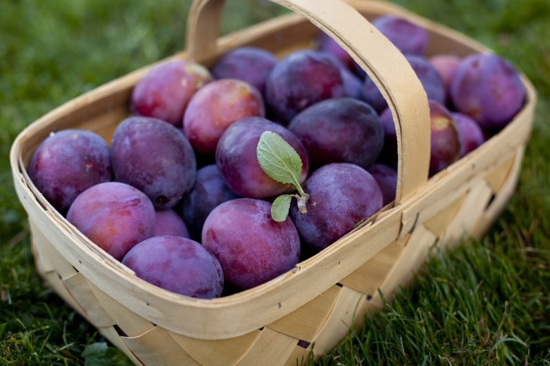 Prune interzise pentru anumite categorii de oameni. Detalii aici!