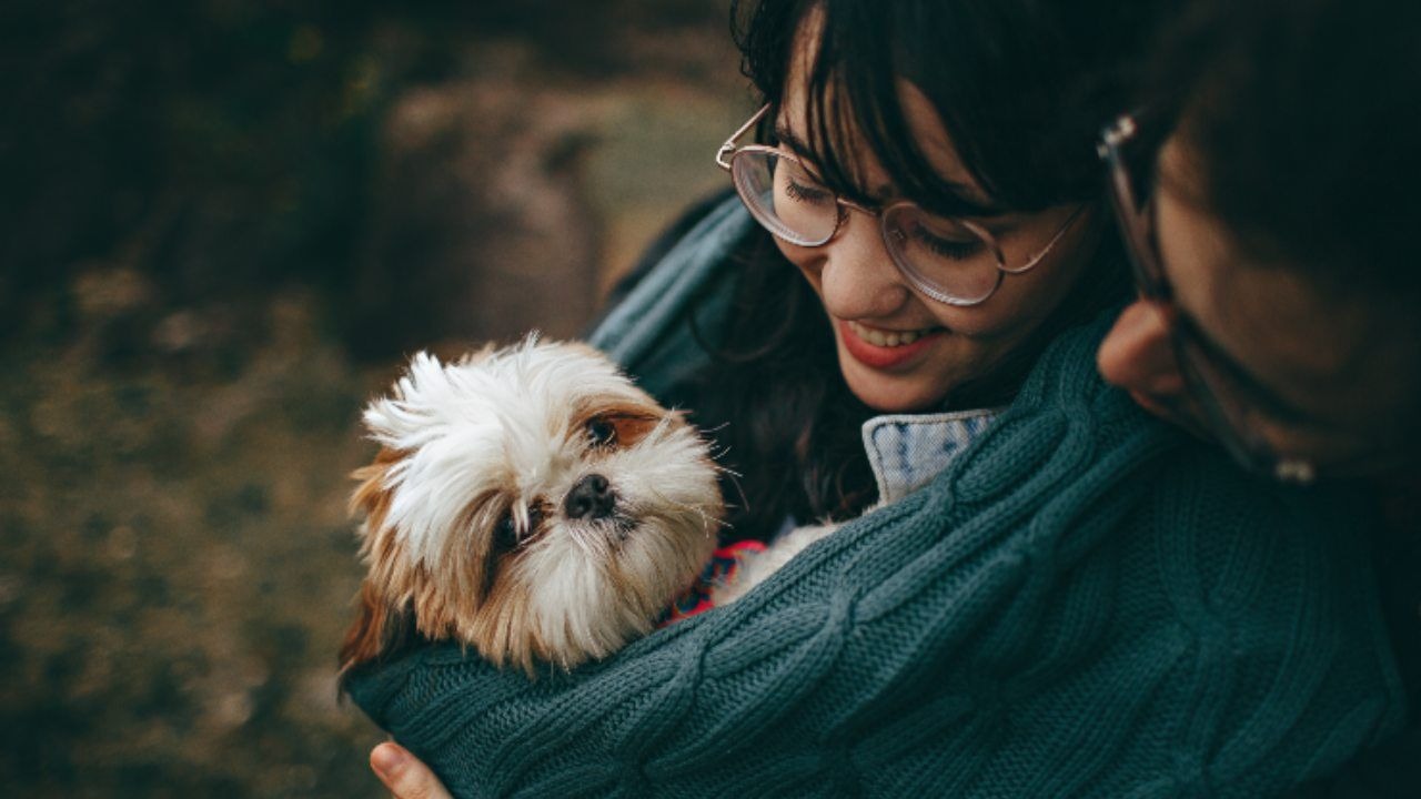 Ogni segno zodiacale è abbinato a un animale. Qual è il tuo?