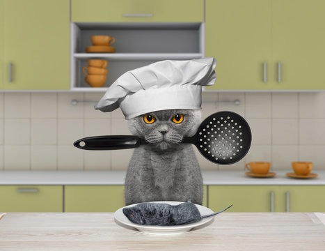 ‘Ratatouille’: A viral video of a cat becoming a chef to help a man impress the Internet