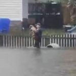 Video shows a police officer rescuing a dog tied to a fence amid Ophelia flooding ➤ Buzzday.info