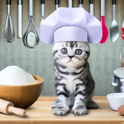 ‘Ratatouille’: A viral video of a cat becoming a chef to help a man impress the Internet