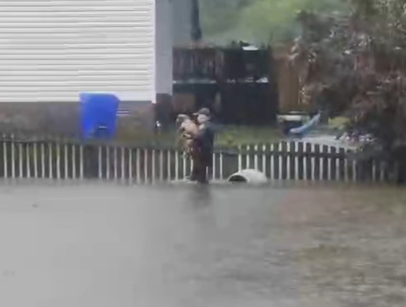 Video shows a police officer rescuing a dog tied to a fence amid Ophelia flooding