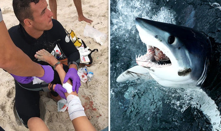 A grandfather was saved from a 6-foot shark attack by punching it in the head