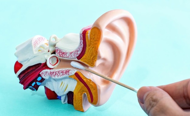 Experts caution against using cotton swabs to clean your ears ➤ Buzzday.info