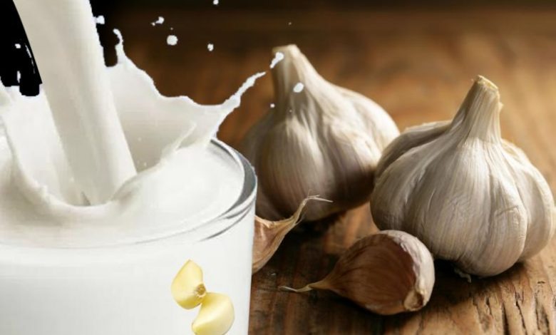 ‘Garlic milk’ is the new elixir: 5 main benefits and side effects ➤ Buzzday.info