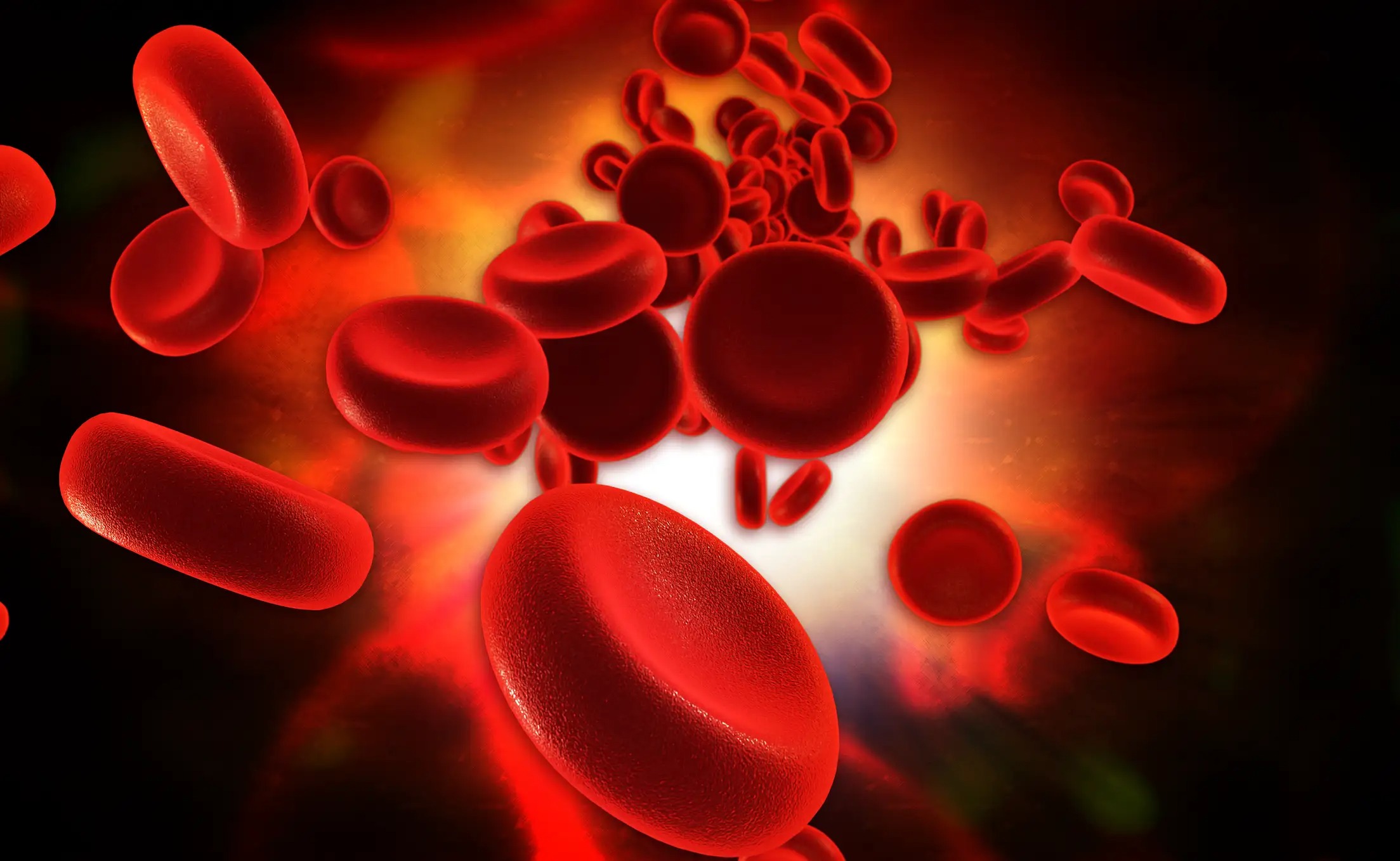 Cea mai vitală grupă de sânge: cei care o au trăiesc cel mai mult ➤ Buzzday.info