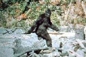A “Bigfoot” sighting captured on video that has left experts baffled
