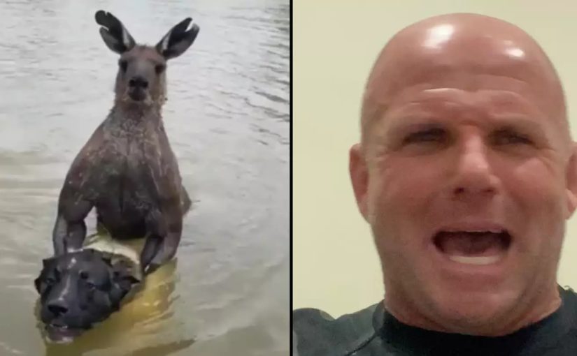 Watch: An Australian man fights a giant kangaroo! I want to go back for round two! ➤ Buzzday.info