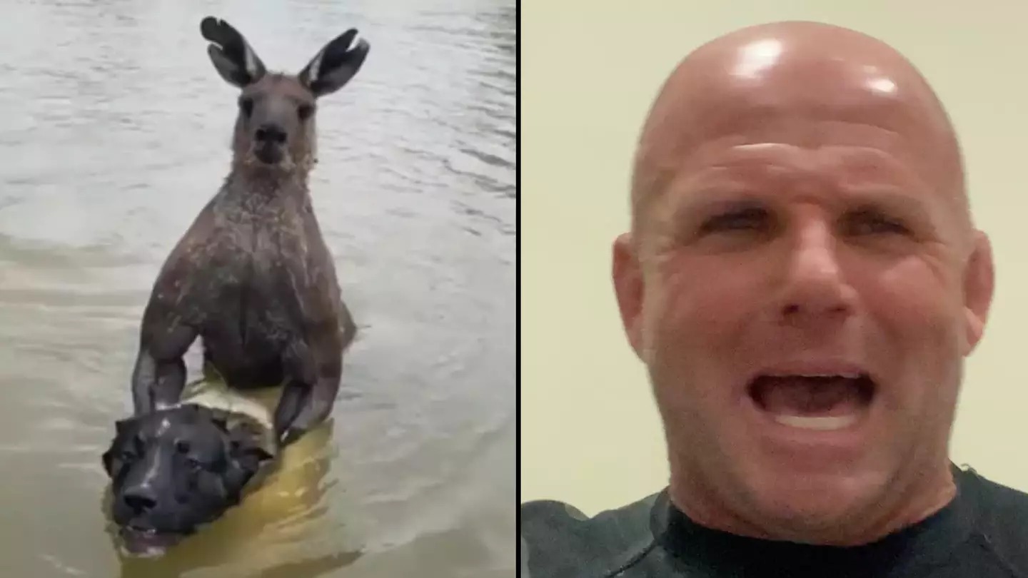 Watch: An Australian man fights a giant kangaroo! I want to go back for round two! ➤ Buzzday.info