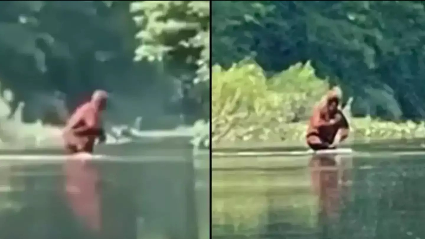 A “Bigfoot” sighting captured on video that has left experts baffled ➤ Buzzday.info