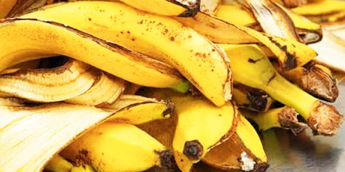 Never throw away the ends of banana peels