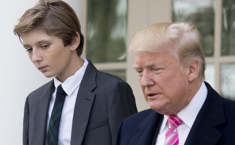 The Obvious Reason For Barron’s Weird Relationship With Trump ➤ Buzzday.info