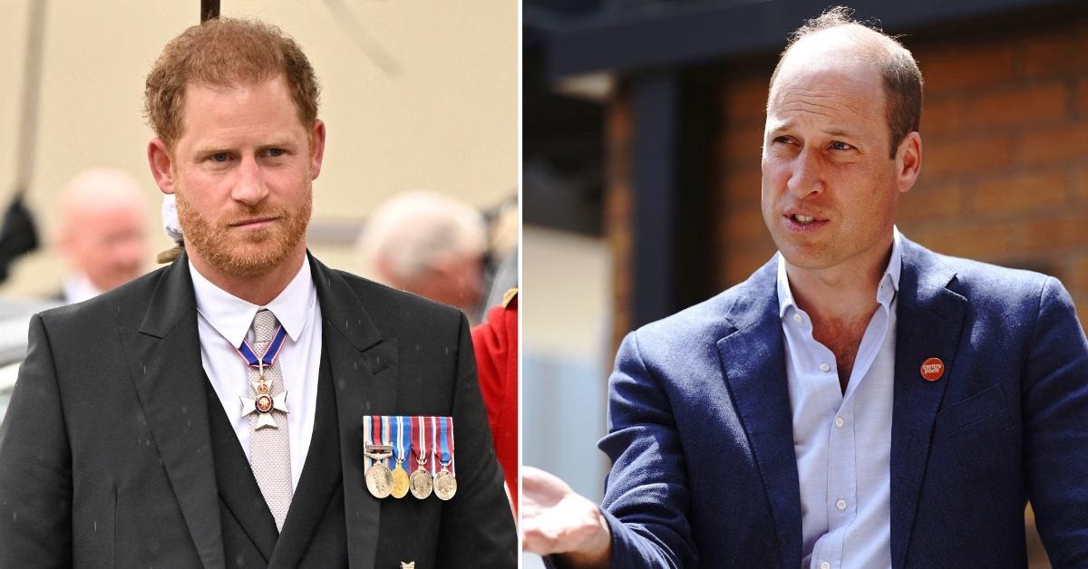 Prince William Spills The Truth About Harry And Stuns Royal Fans