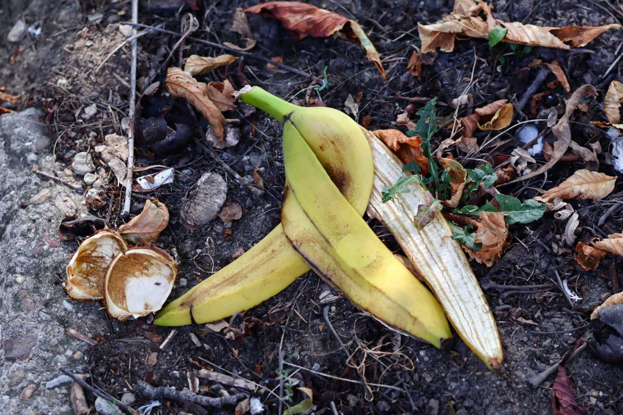 Never throw away the ends of banana peels