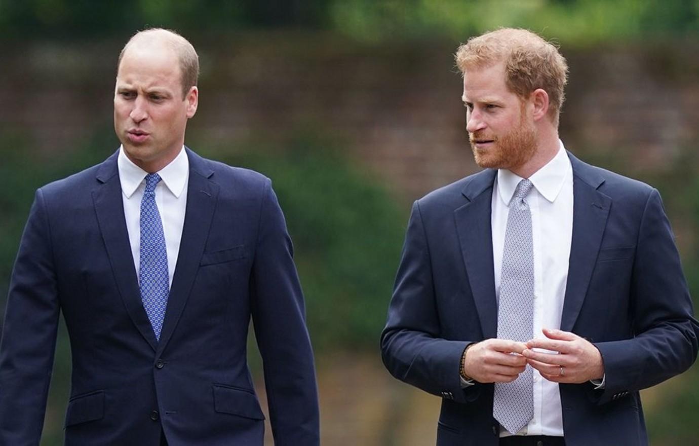 Prince William Spills The Truth About Harry And Stuns Royal Fans