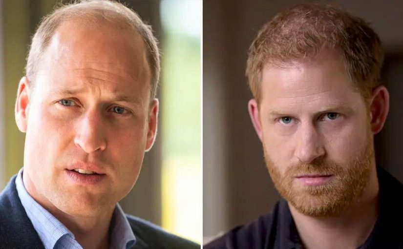 Prince William Spills The Truth About Harry And Stuns Royal Fans ➤ Buzzday.info