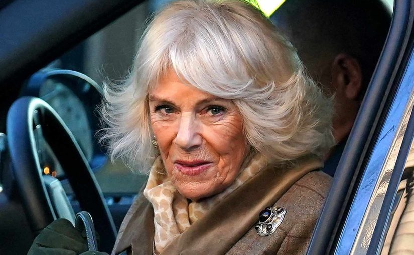 Queen Camilla’s Health Status Is No Longer A Big Secret ➤ Buzzday.info