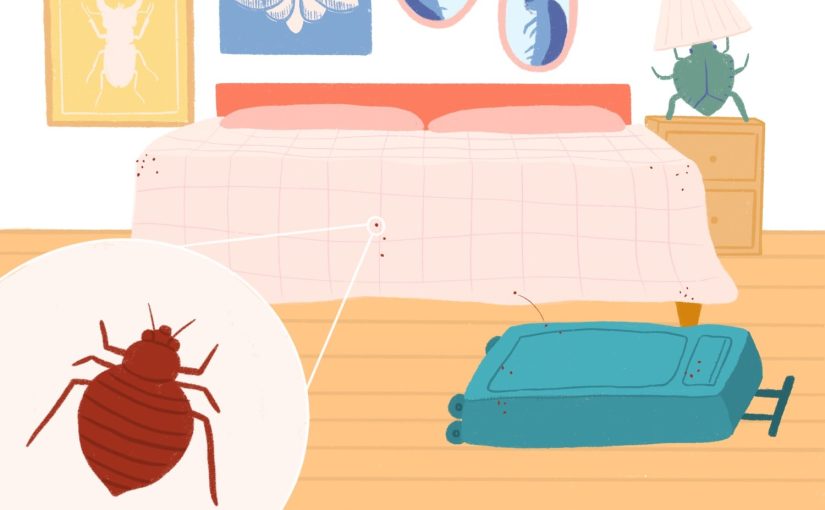 Say Goodbye To Bed Bugs With This Easy Hack ➤ Buzzday.info