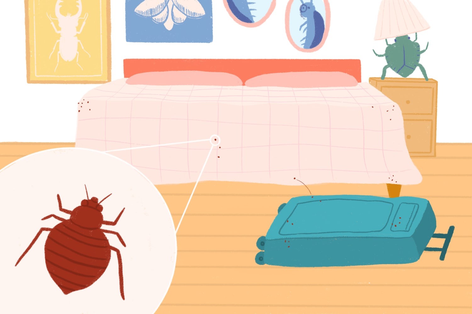 Say Goodbye To Bed Bugs With This Easy Hack ➤ Buzzday.info