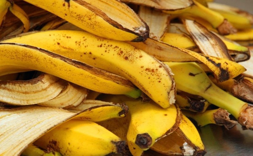 Throwing Away Old Banana Peels Is Basically Throwing Out Money ➤ Buzzday.info