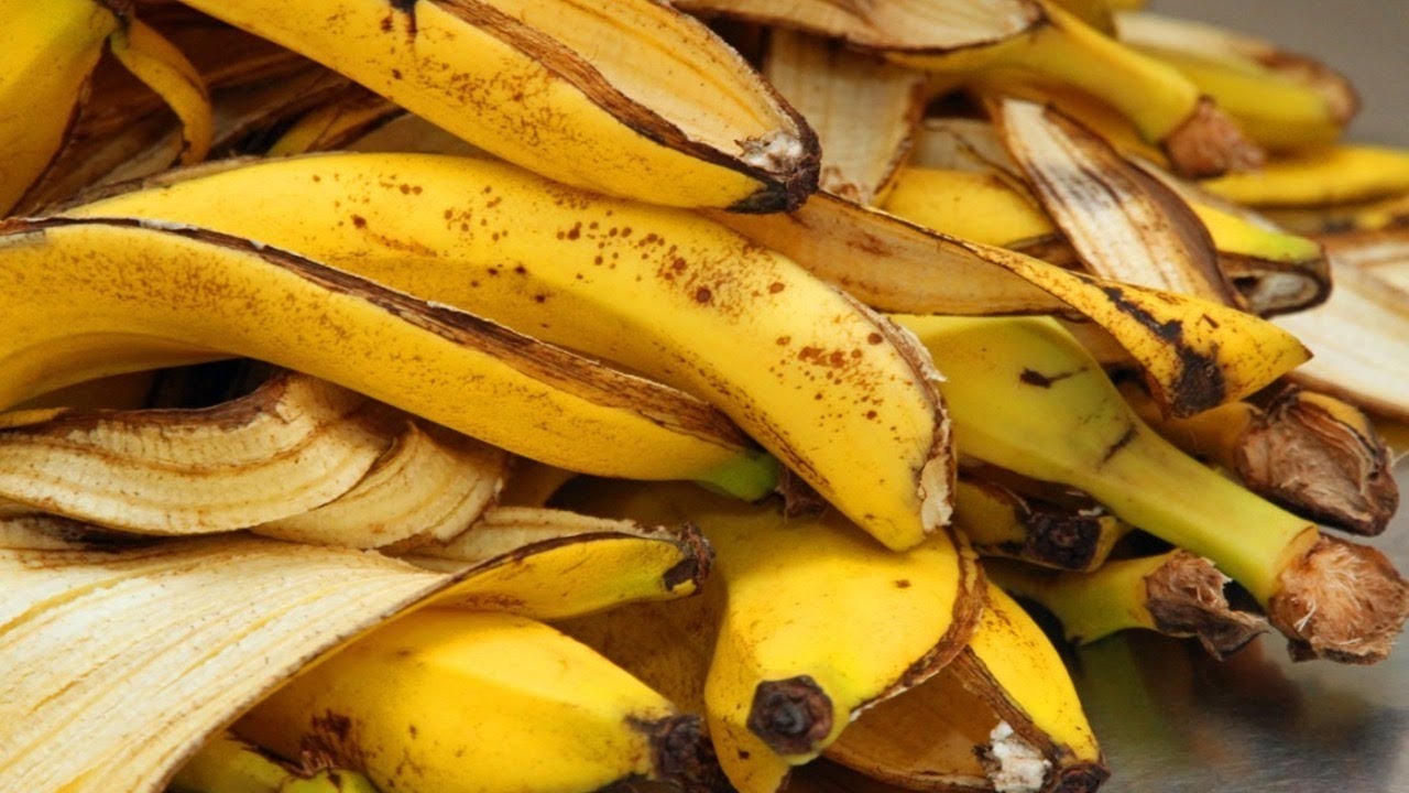 Throwing Away Old Banana Peels Is Basically Throwing Out Money ➤ Buzzday.info