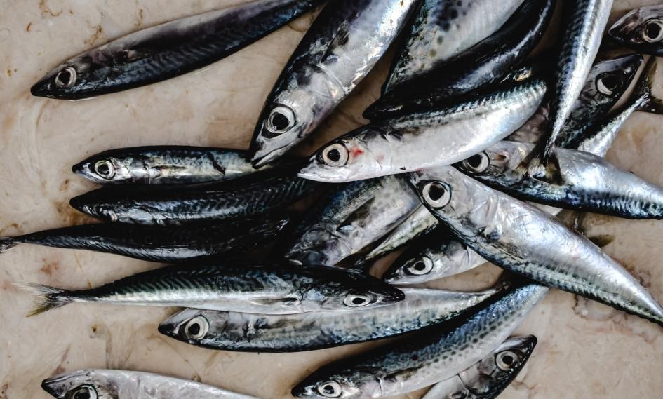 The health benefits of sardines are much more than you might think