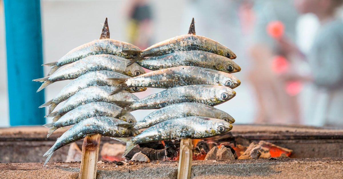 The health benefits of sardines are much more than you might think