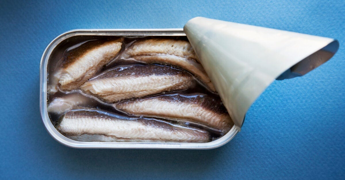 The health benefits of sardines are much more than you might think ➤ Buzzday.info